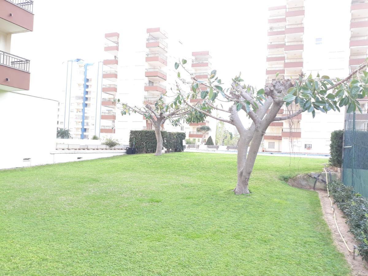 Valldigna 7 Playa De Gandia Solo Familias Εξωτερικό φωτογραφία