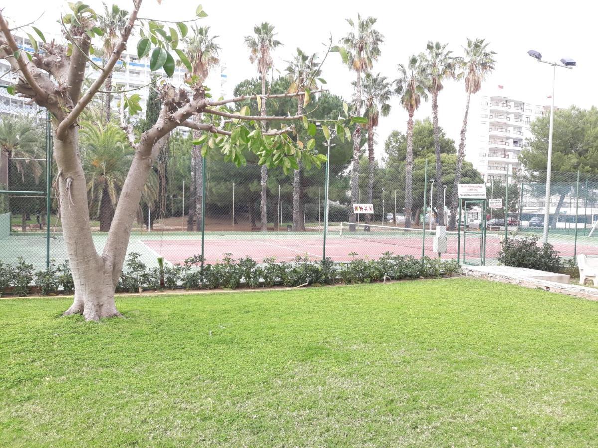 Valldigna 7 Playa De Gandia Solo Familias Εξωτερικό φωτογραφία