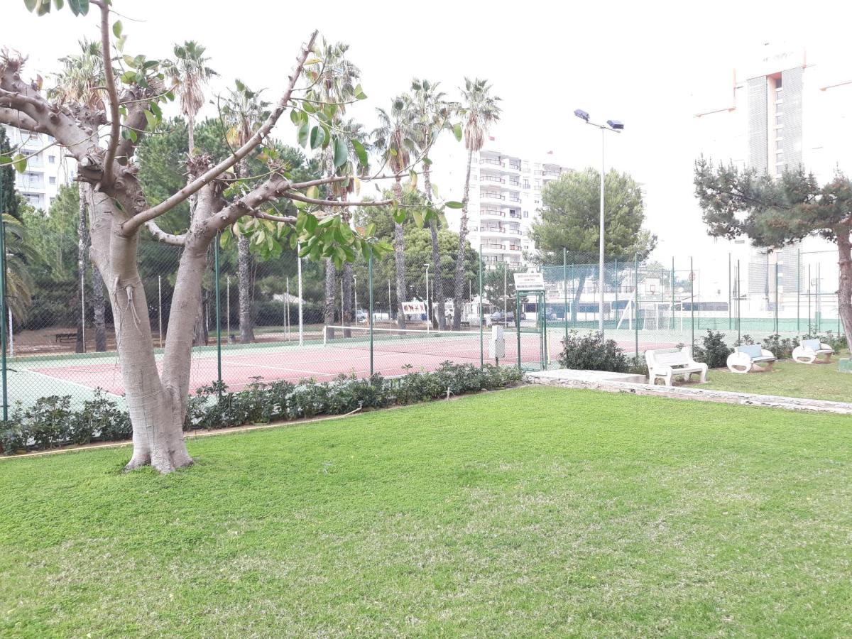 Valldigna 7 Playa De Gandia Solo Familias Εξωτερικό φωτογραφία