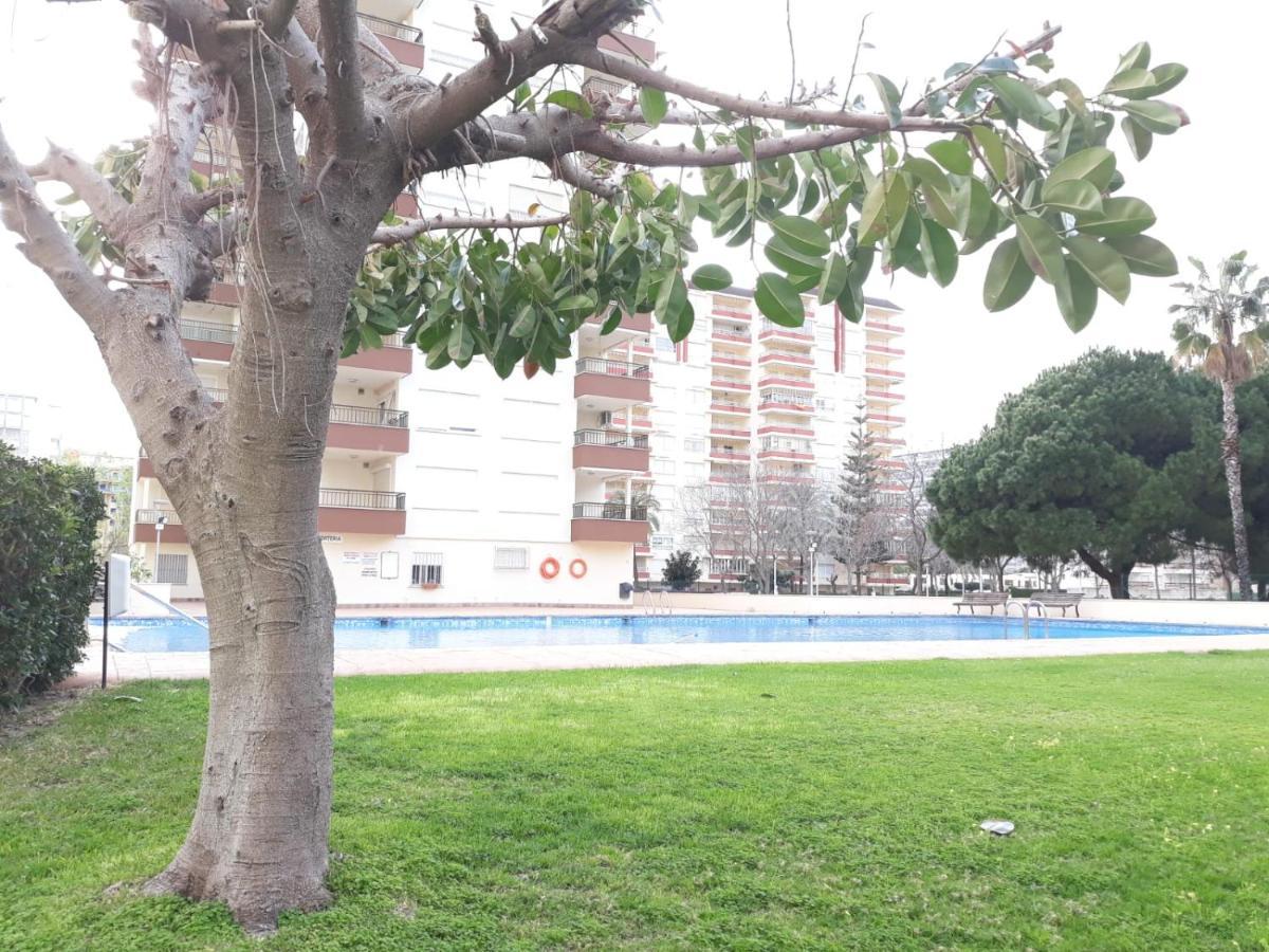 Valldigna 7 Playa De Gandia Solo Familias Εξωτερικό φωτογραφία